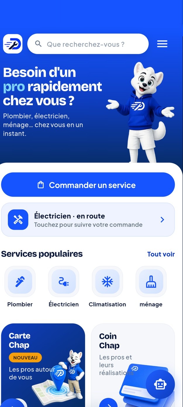 Écran d'accueil de l'application Dépannages Chap